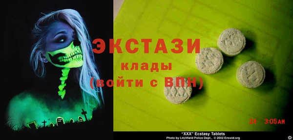 СК Алексин