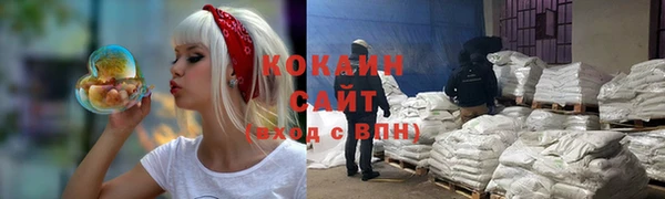 СК Алексин