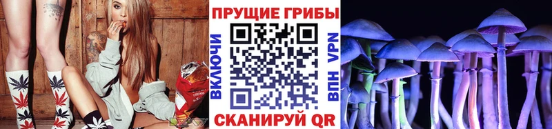 Псилоцибиновые грибы Psilocybe  Мещовск 